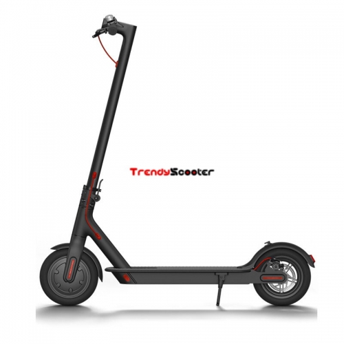 Test Ride M11 Electric Scooter