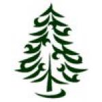 ArborVitae Tree Care -Tree Surgeons