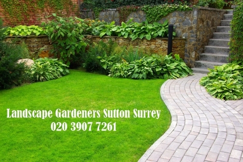 Landscape Gardeners Sutton Surrey