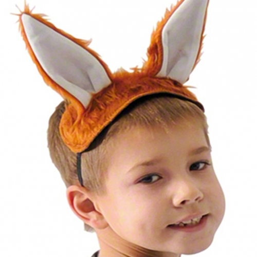 Fox Ears & Tail Kids Costume
