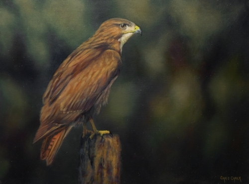 Buzzard Painting - "Buzzard", 24x18 inch, oil.