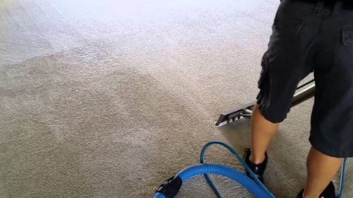 Carpet Cleaning in and around Ipswich